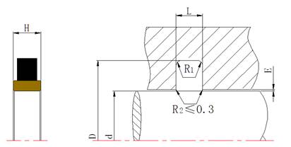重載軸用組合密封圈SPN截面結(jié)構(gòu)圖