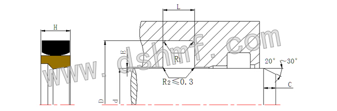 DMSS-軸用重載斯特封的密封件規(guī)格型號型號規(guī)格