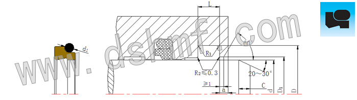 組合防塵圈DSZL結構切面和
