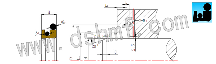 雙型o密封組合防塵圈DPR截面設(shè)計圖.jpg