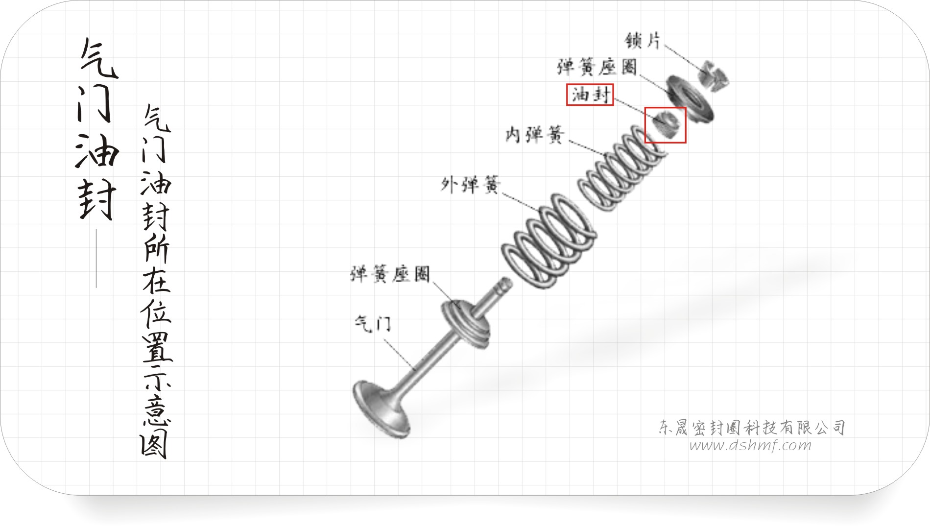 氣門油封所在位置示意圖