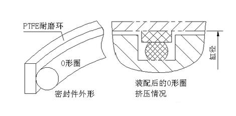 擠壓式密封件的格萊圈的切面圖