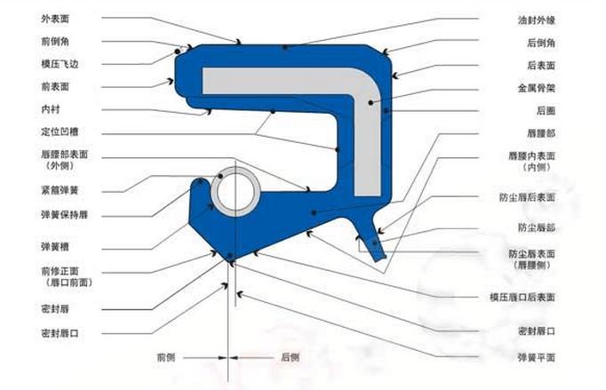內(nèi)包骨架油封各部位主要名稱和術(shù)語圖
