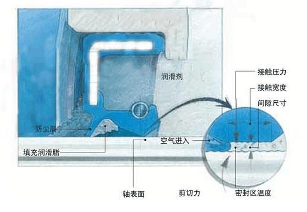 油封密封唇口與旋轉(zhuǎn)軸表面接觸區(qū)