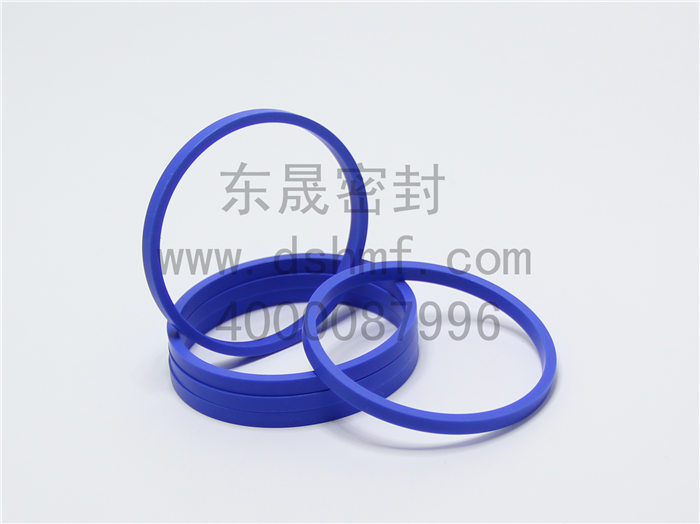 聚四氟乙烯（PTFE）液壓密封件產(chǎn)品