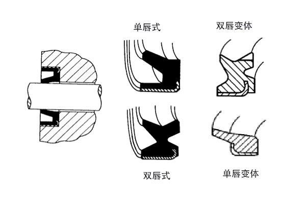 壓入式防塵圈密封件及一些變體