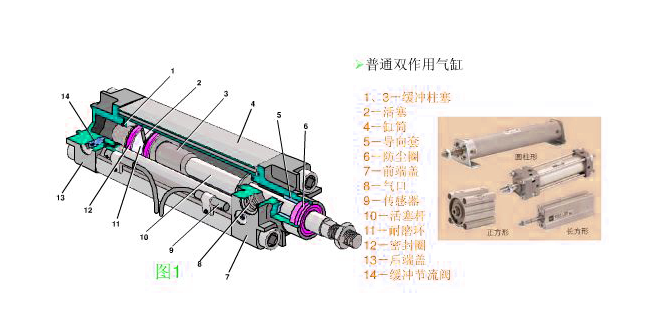 活塞及活塞桿密封圈整體結(jié)構(gòu)圖