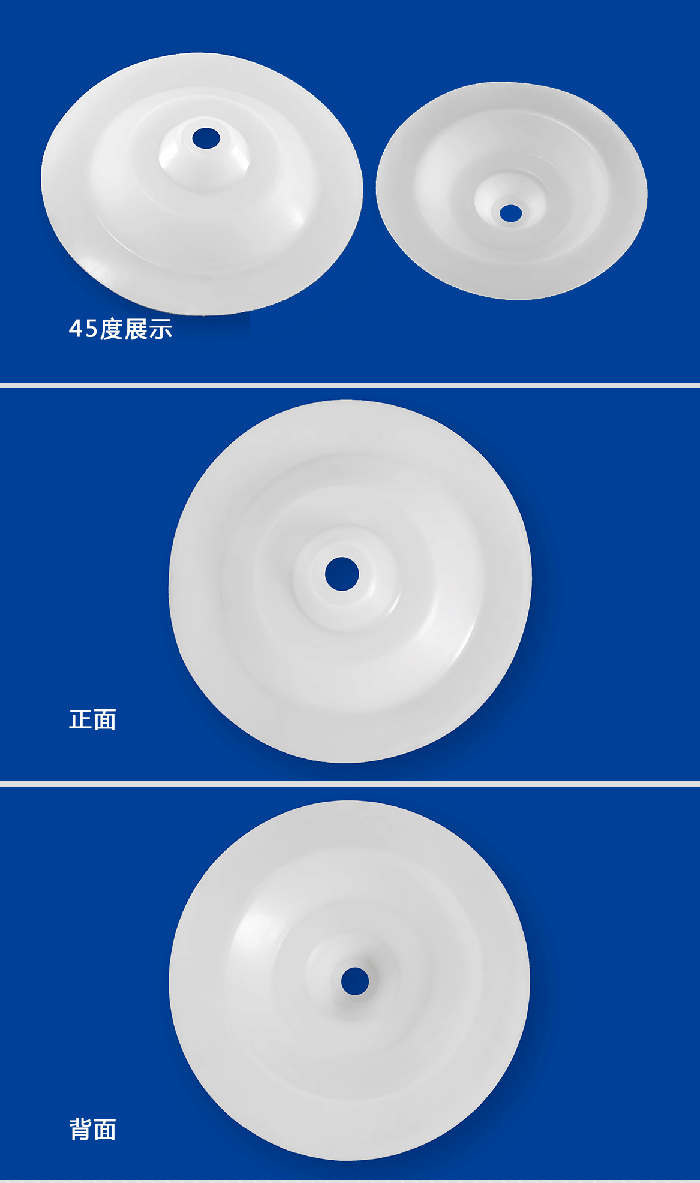 1-計(jì)量泵膜片3-產(chǎn)品詳情頁-模板_01米頓羅進(jìn)口PTFE四氟鐵氟龍計(jì)量泵膜片隔膜密封件 (3)