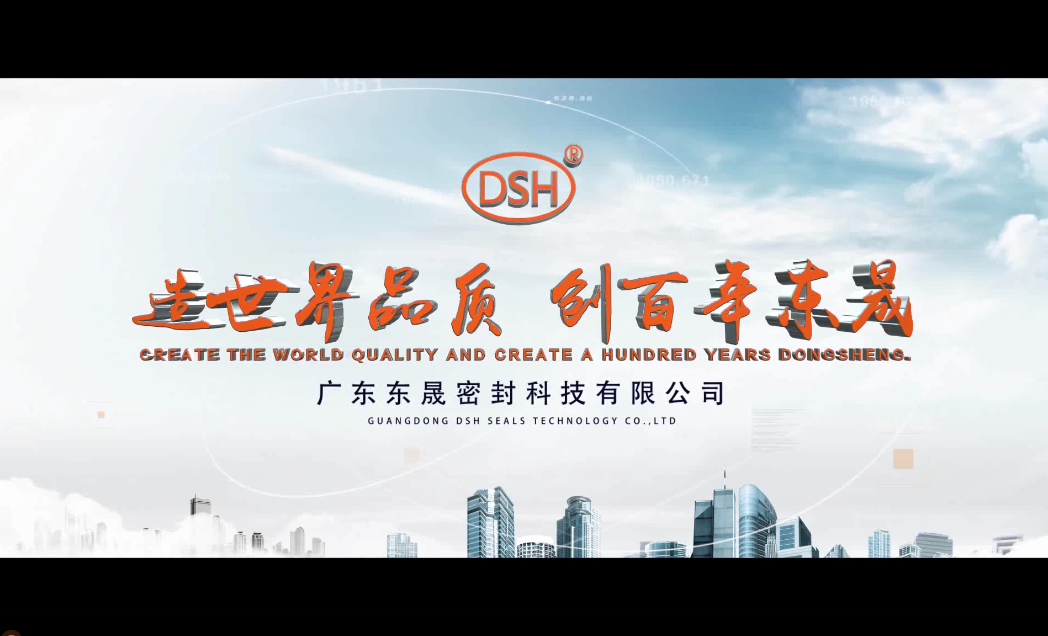 東晟密封公司（dsh）展示實(shí)力的企業(yè)宣傳片